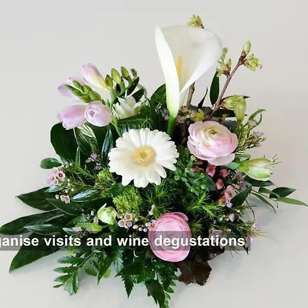 Prealpina Otel Chexbres