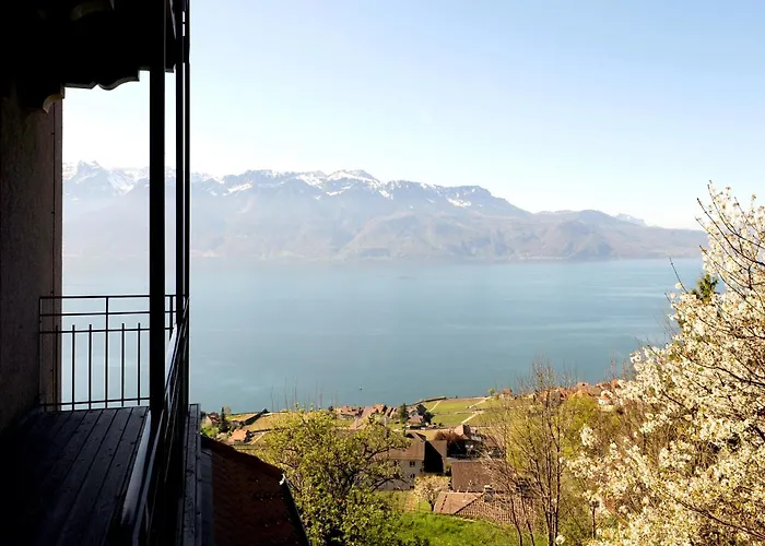 Prealpina 4* Chexbres