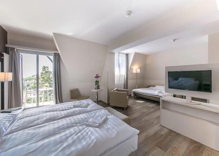 Prealpina 4* Chexbres