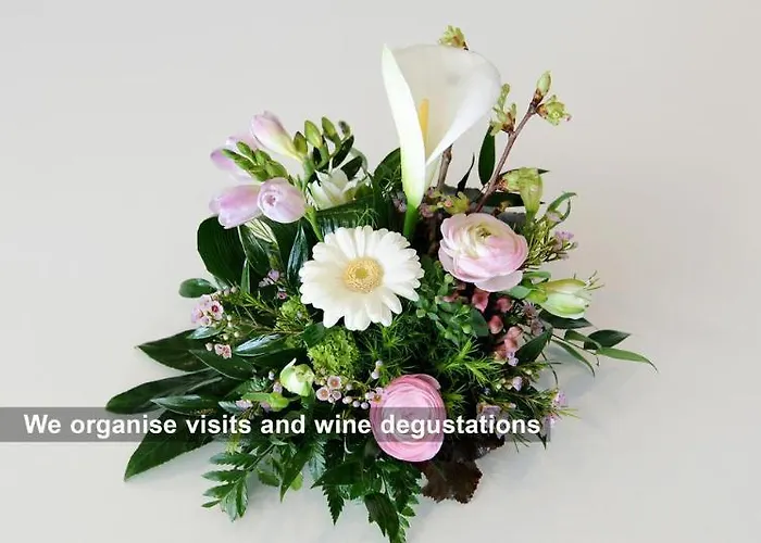 Prealpina Ξενοδοχείο Chexbres