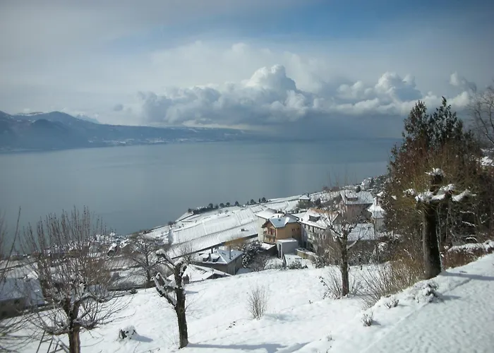 Prealpina Ξενοδοχείο 4*