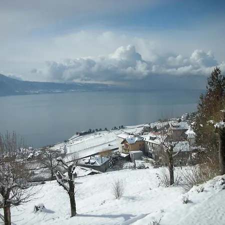 Prealpina Hotel 4*