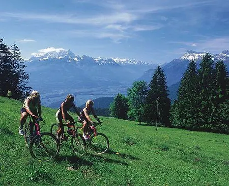 Hotel Prealpina